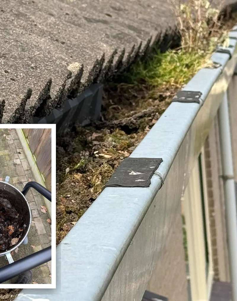 Een dakgoot vol blad en mos, met daarnaast een emmer met het verwijderde vuil